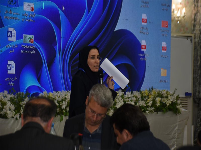 جشنواره بهره وری
